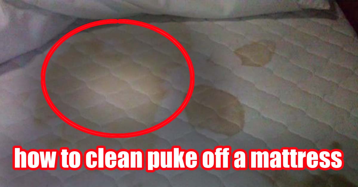 best way to clean puke out of mattress