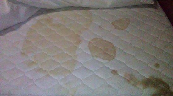 get puke stains out of mattress